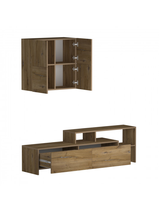 Tv unit VEGA TV MODULE X36 BS 392 (4) 