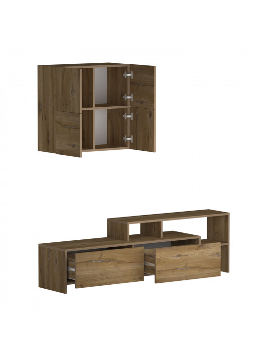 Tv unit VEGA TV MODULE X36 BS 392 (4) 