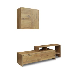 Tv unit VEGA TV MODULE X36 BS 392 (4) 