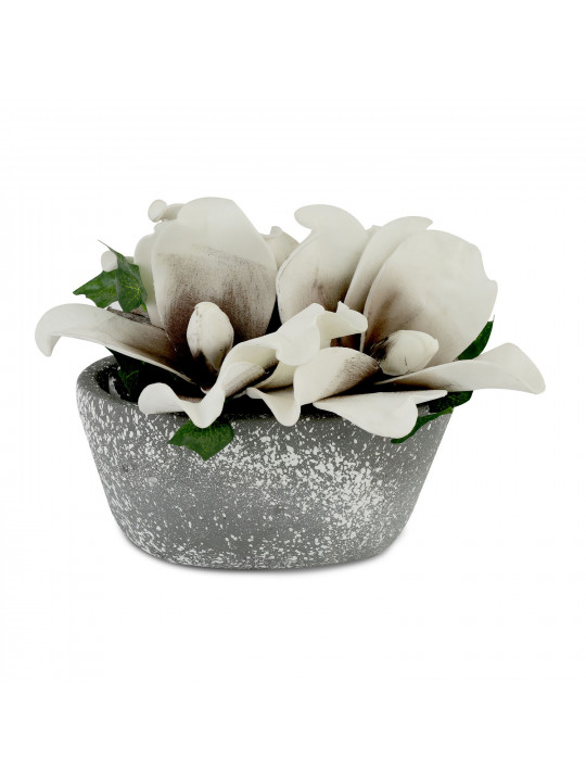 Ծաղիկներ KOOPMAN ARTIFICIAL FLOWER IN POT 18CM (467790) (YZA999905)