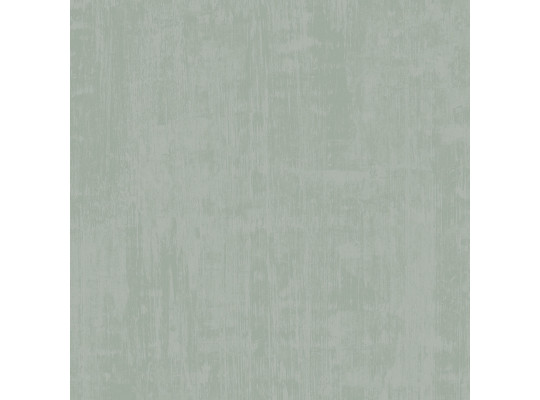 Ֆլիզելինային պաստառ DECOPRINT ESSENTIALS PLAIN SOFT GREEN (EE22503)