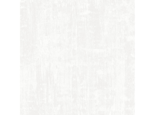 Non-woven wallpaper DECOPRINT ESSENTIALS PLAIN WHITE (EE22500)