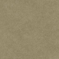 Non-woven wallpaper DECOPRINT LEATHER PLAIN GOLD (TA25022)