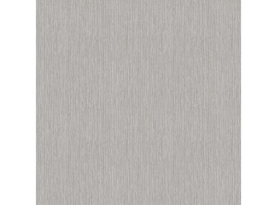 Non-woven wallpaper DECOPRINT PLAIN GREIGE (BR24001)