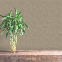 Non-woven wallpaper DECOPRINT PERLA RAMIE TAUPE (NHW1007)