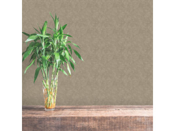 Ֆլիզելինային պաստառ DECOPRINT PERLA RAMIE TAUPE (NHW1007)