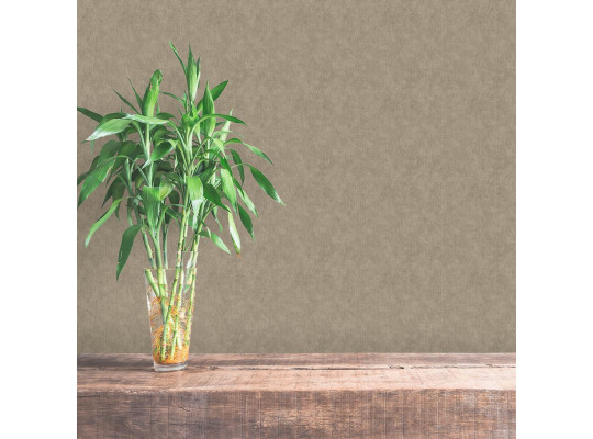 Ֆլիզելինային պաստառ DECOPRINT PERLA RAMIE TAUPE (NHW1007)