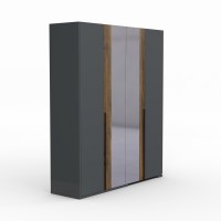 Платяной шкаф HOBEL EX-C100 C ORMA 075/ORMA 215/0164 (7) 