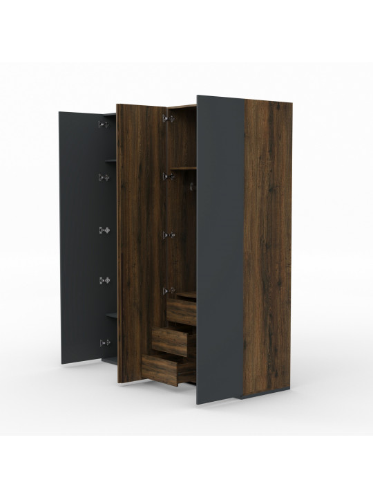 Платяной шкаф HOBEL EX-C100 C ORMA 075/ORMA 215/0164 (6) 