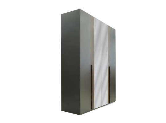 Платяной шкаф HOBEL EX-C100 C ORMA 075/ORMA 215/0164 (6) 