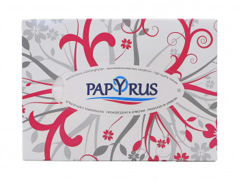 Салфетка PAPYRUS SKY 100 PC (600192) 