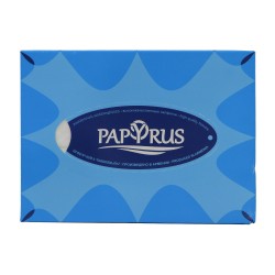Napkin PAPYRUS SAKURA 100 PC (600192) 