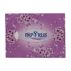Napkin PAPYRUS LEVEL 100Հ (600192)
