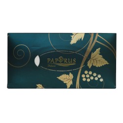 Салфетка PAPYRUS DELUXE 100Հ (600853)
