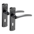Door handles