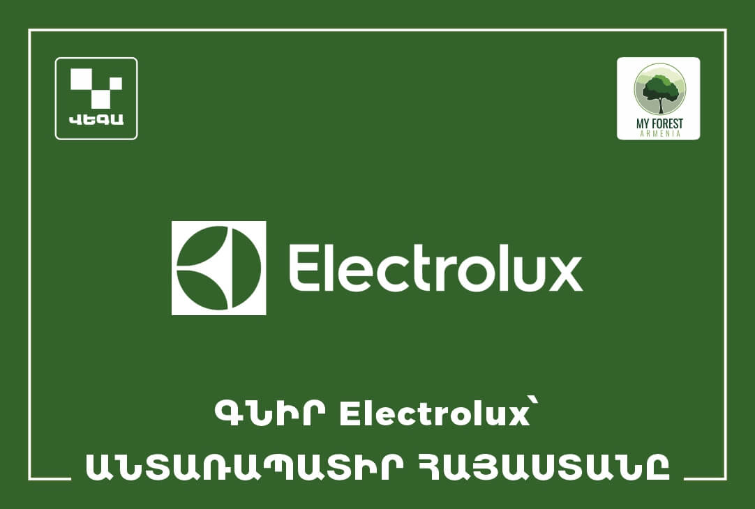 Գնիր Electrolux, անտառապատիր Հայաստանը ‼️