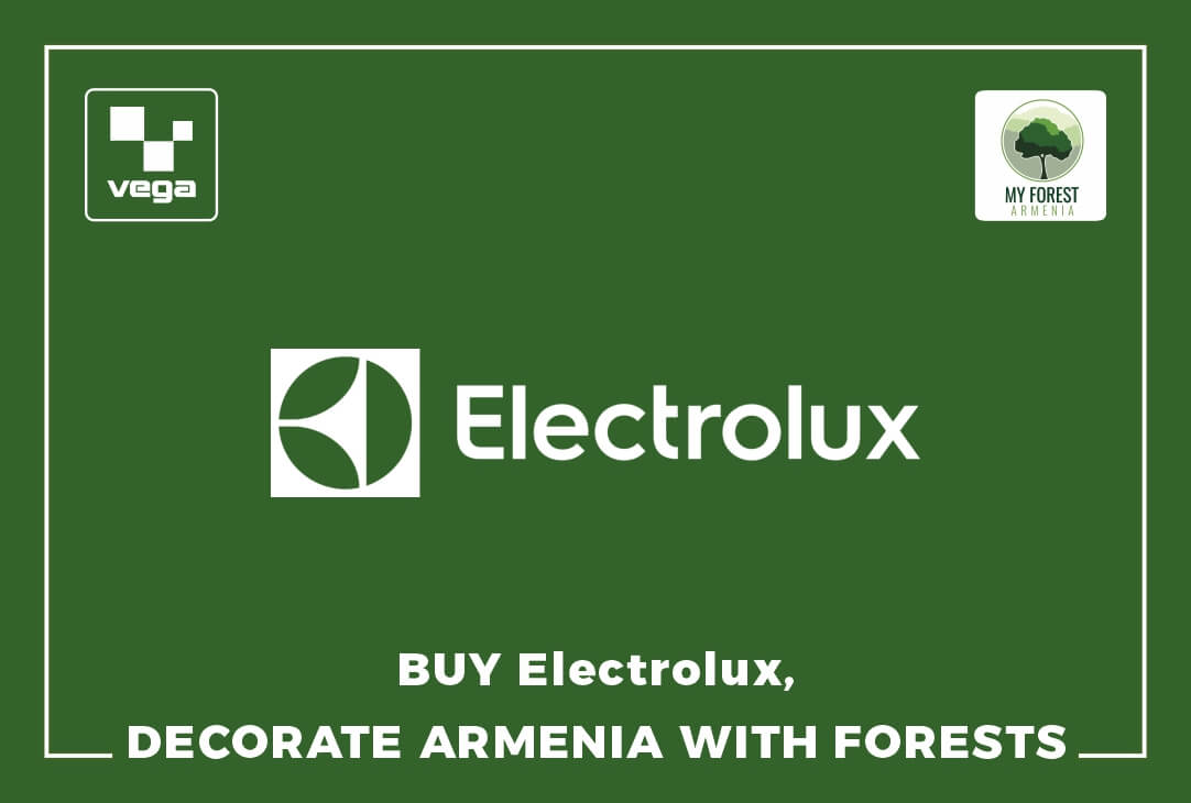 Buy Electrolux, decorate Armenia with forests‼️