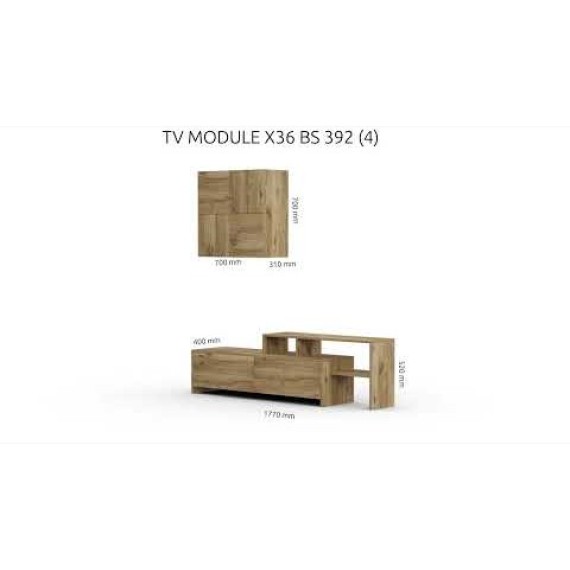 VEGA TV MODULE X36 BS 392 (4)