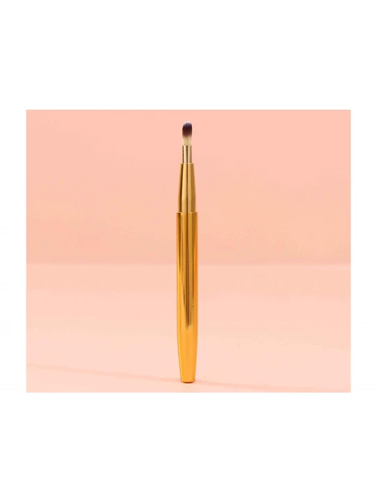 Makeup accessories XIMI 6931664189654 LIP BRUSH (189654)
