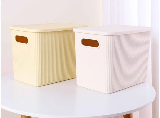 Storage box XIMI 6942156210510 L (210510)