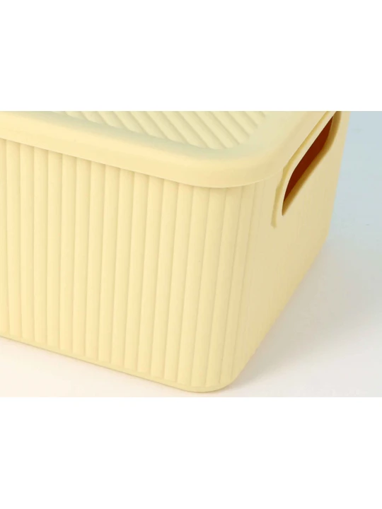 Storage box XIMI 6942156210527 M (210527)