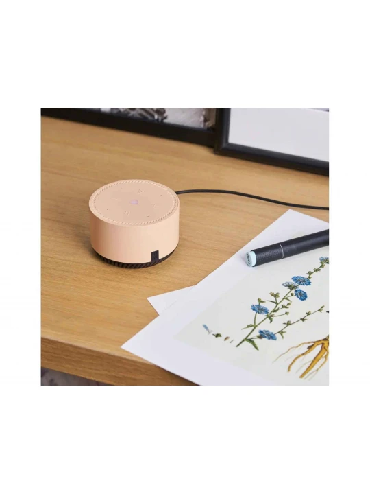 Smart station YANDEX Lite (Beige) (YNDX-00025B)