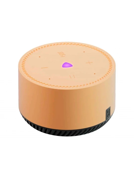 Smart station YANDEX Lite (Beige) (YNDX-00025B)