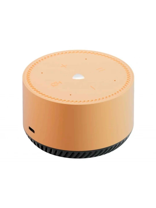 Smart station YANDEX Lite (Beige) (YNDX-00025B)