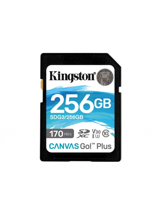 Memory card KINGSTON SD SDG3/256GB 