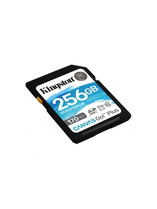 Memory card KINGSTON SD SDG3/256GB 