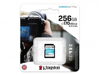 Հիշողության քարտ KINGSTON SD SDG3/256GB 