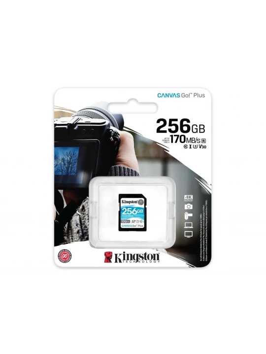 Memory card KINGSTON SD SDG3/256GB 
