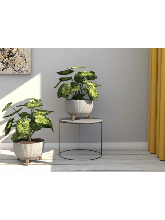 Ծաղկի զամբյուղ LAMELA LA965-27 MISA ROMA OVAL JUMPER ECO WOOD 430 GREY 