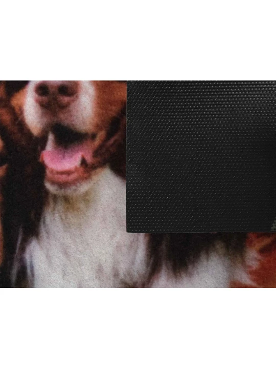 Mat VORTEX 24217 50X80CM SAMBA MOISTURE-ABSORBENT DOGS IN HAMMOK 