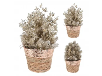 Ամանորյա դեկորատիվ առարկաներ KOOPMAN PLANT IN BASKET 27CM 2ASS CHAMPAGNE (050326) (ANM101830)