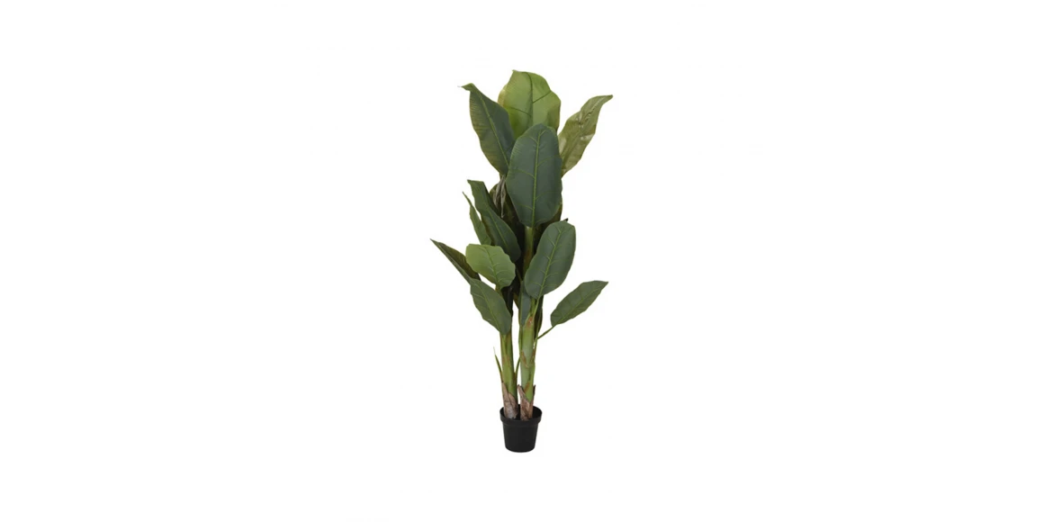 Դեկորատիվ առարկաներ KOOPMAN PALNT IN POT 165CM (963830) (318000690)