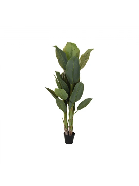 Decorate objects KOOPMAN PALNT IN POT 165CM (963830) (318000690)