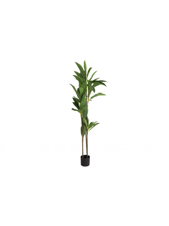 Դեկորատիվ առարկաներ KOOPMAN ARTIFICIAL DRACAENA 175CM (318000870)