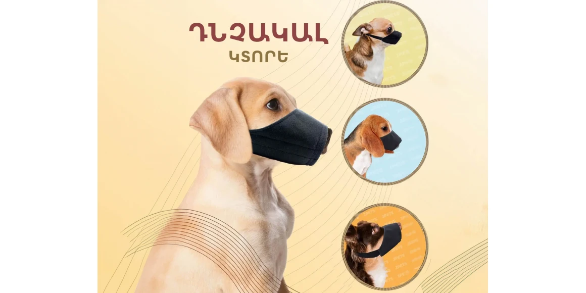 Ammunition for pets 2PETS MUZZLE N6 (477795-287)