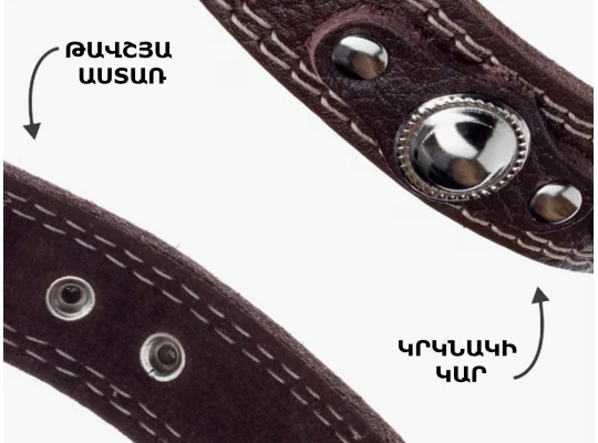 Կենդանիների ամունիցիա EMOTICO.PETS COLLAR 32-40 20MM (082623-108)