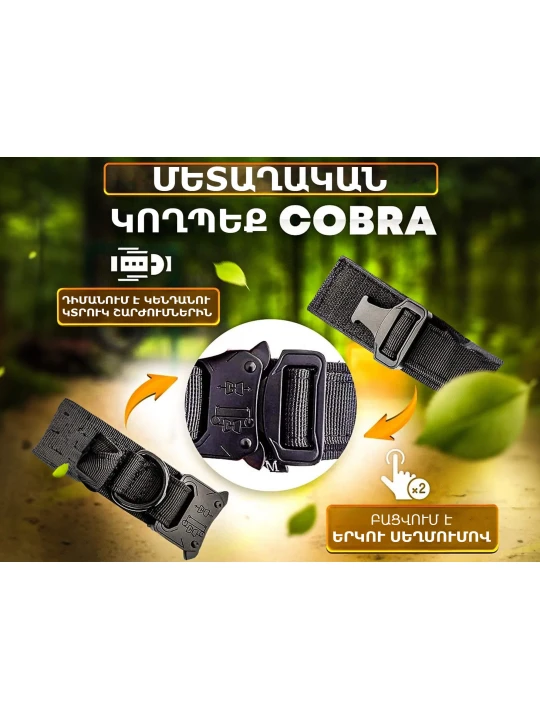 Ammunition for pets PETFORT COLLAR L (860978-290)