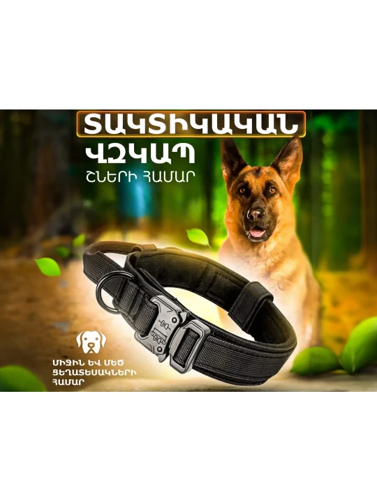 Ammunition for pets PETFORT COLLAR L (860978-290)