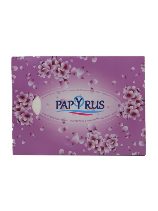Անձեռոցիկ PAPYRUS LEVEL 100Հ (600192)