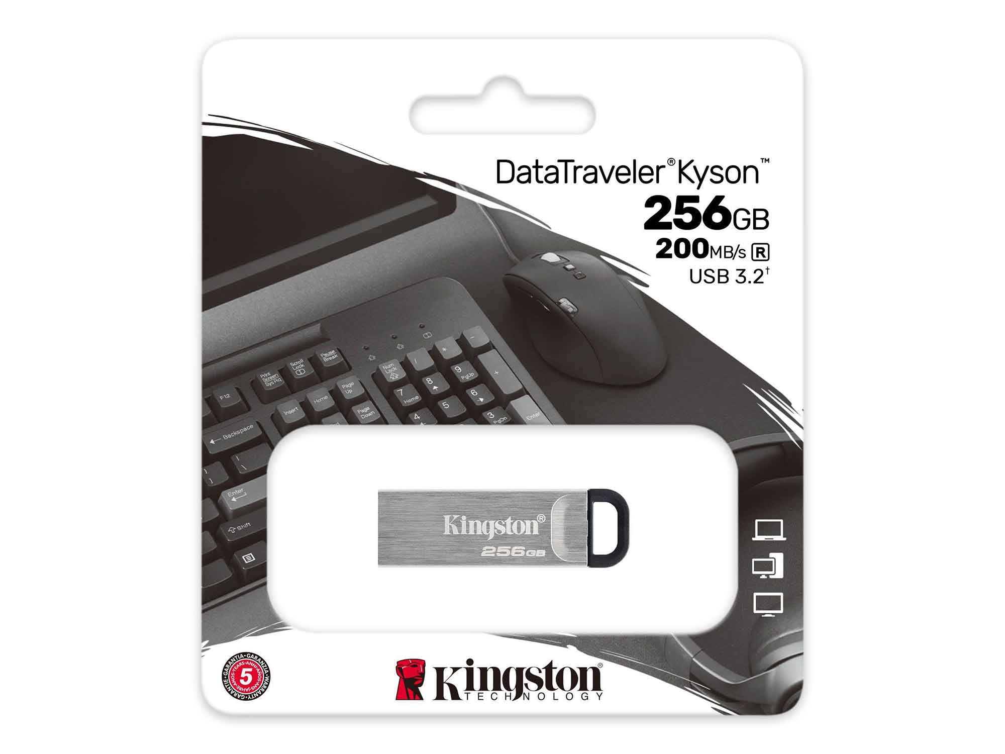 ფლეშ-დრაივერი KINGSTON DTKN/256GB