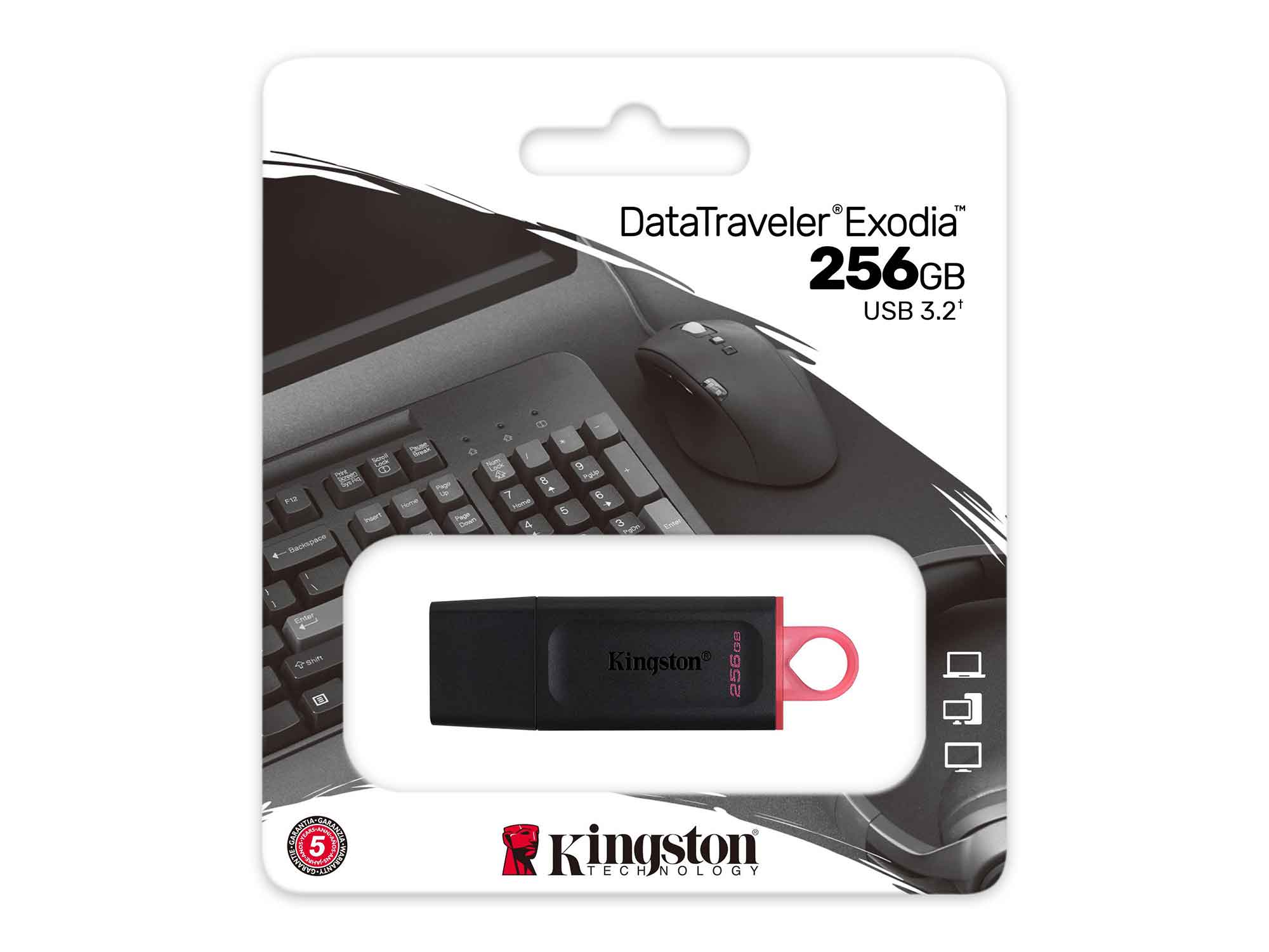 ფლეშ-დრაივერი KINGSTON DTX/256GB