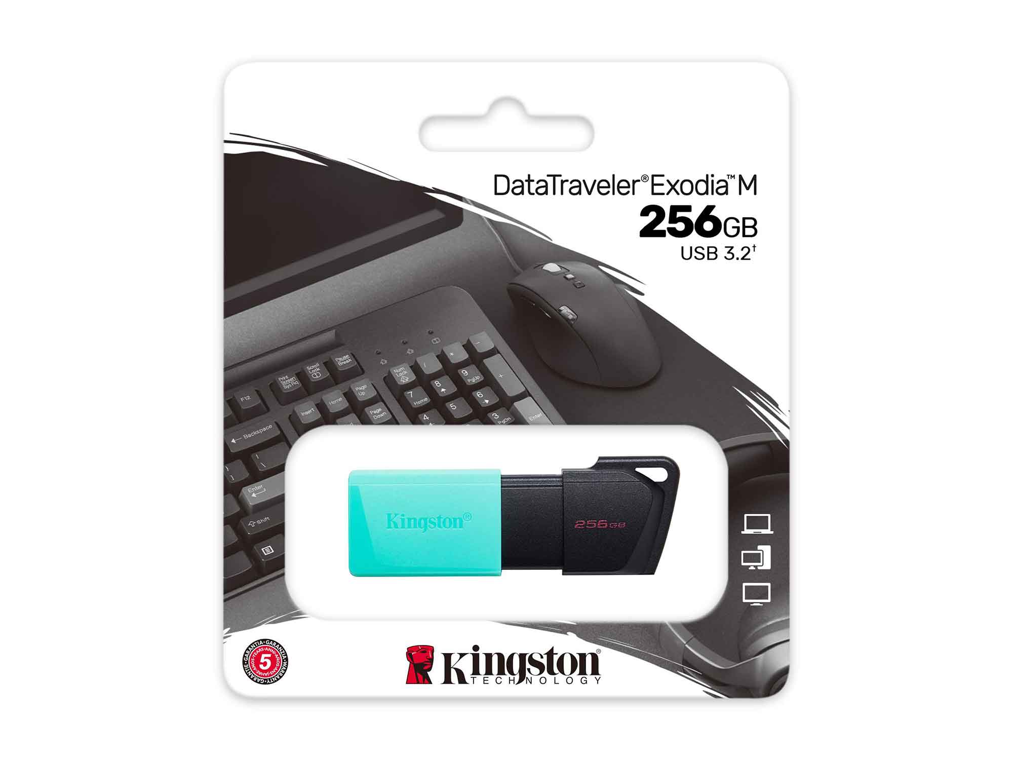 ფლეშ-დრაივერი KINGSTON DTXM/256GB