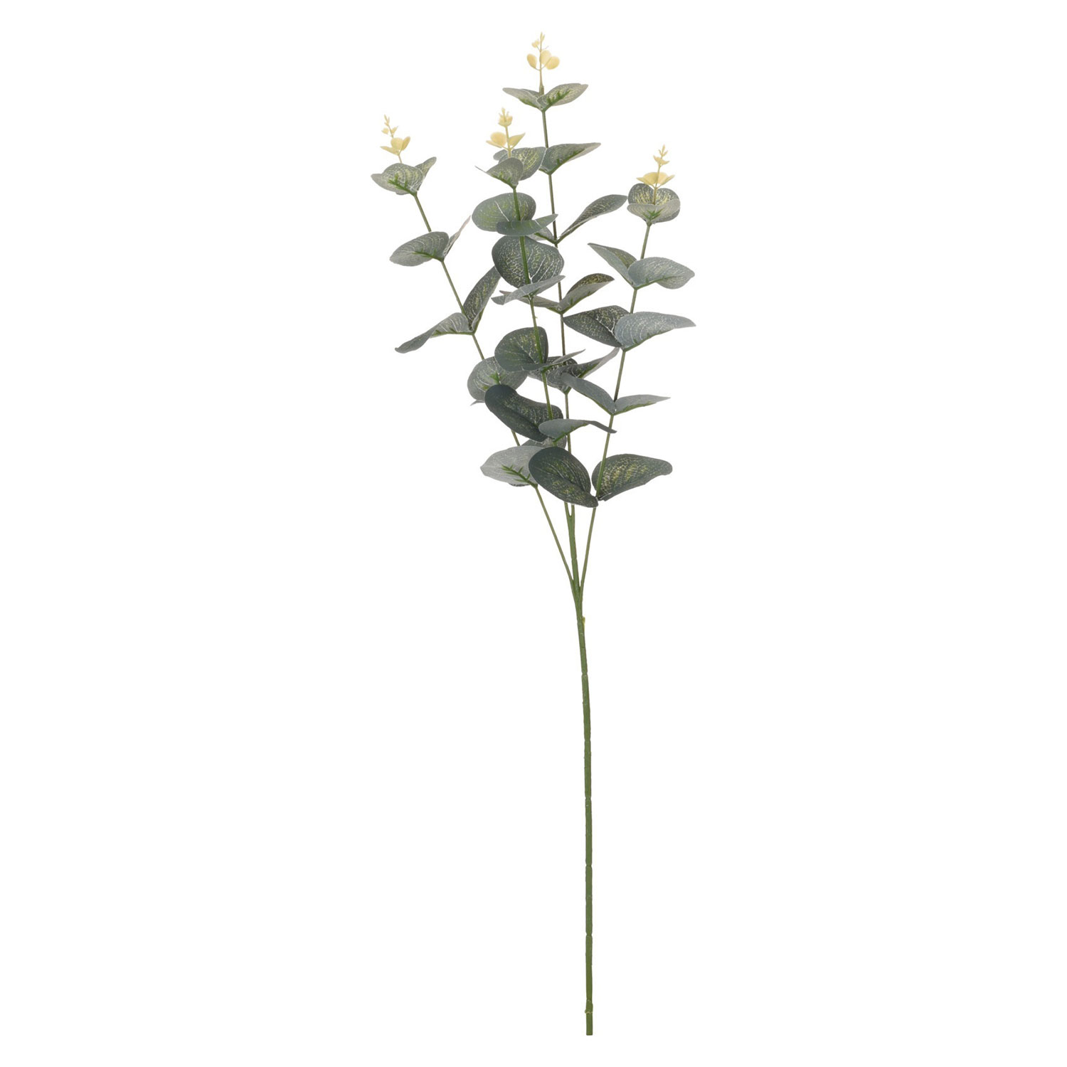 flowers KOOPMAN EUCALIPTUS 70CM (971217)