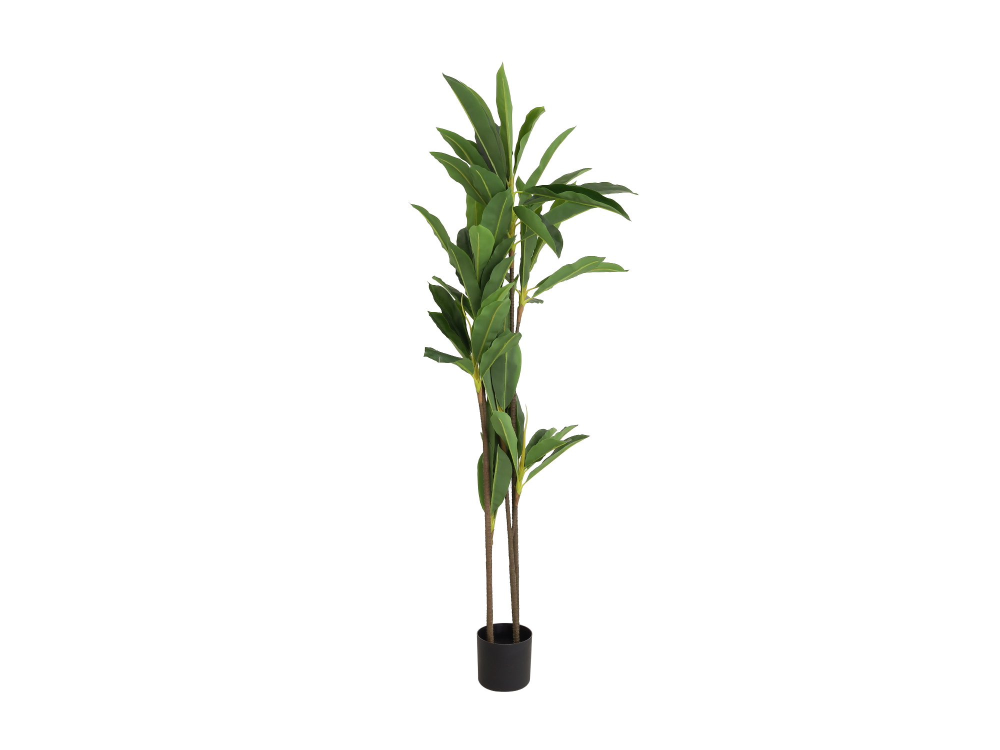 decorate objects KOOPMAN ARTIFICIAL DRACAENA 175CM