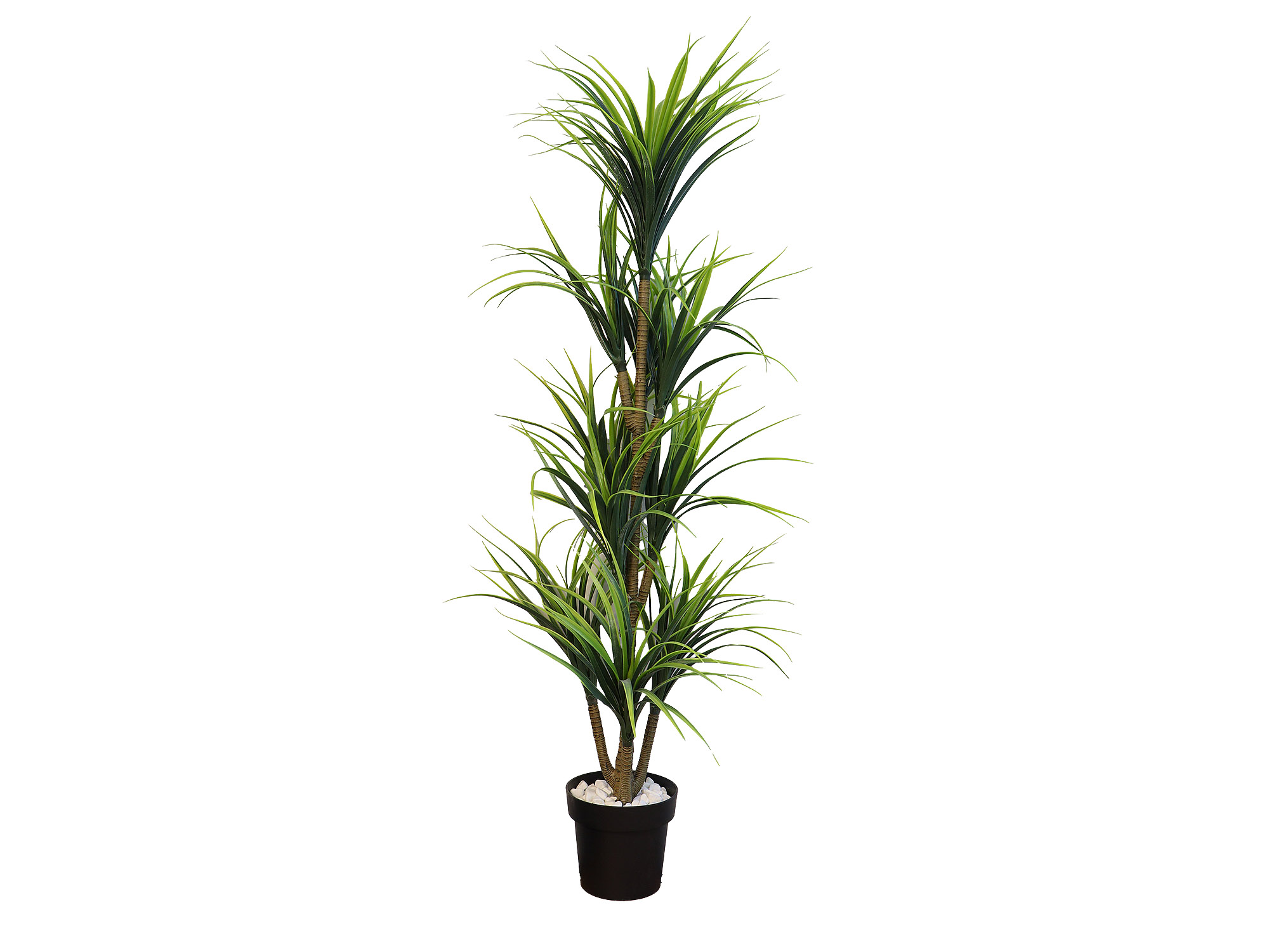 decorate objects KOOPMAN PALNT ARTIFICIAL YUCCA 150CM