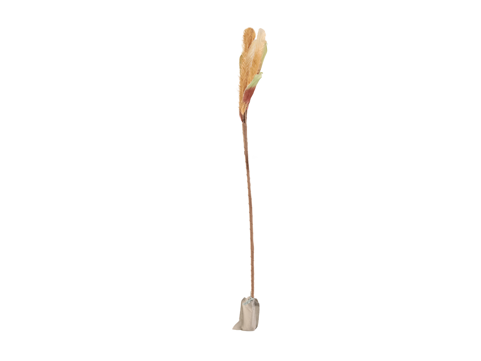decorate objects KOOPMAN PAMPAS GRAS WITH LED 120CM WHITE
